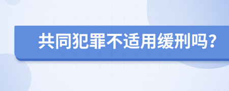 共同犯罪不适用缓刑吗？