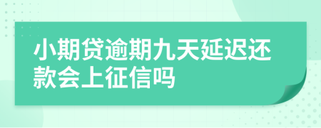 小期贷逾期九天延迟还款会上征信吗