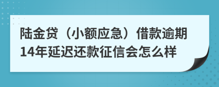 陆金贷（小额应急）借款逾期14年延迟还款征信会怎么样