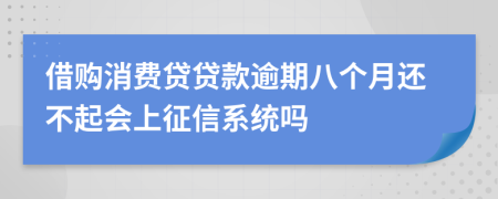 借购消费贷贷款逾期八个月还不起会上征信系统吗