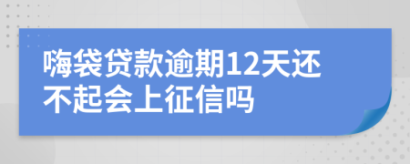 嗨袋贷款逾期12天还不起会上征信吗