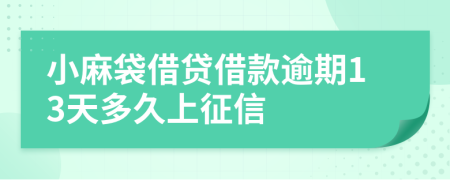 小麻袋借贷借款逾期13天多久上征信