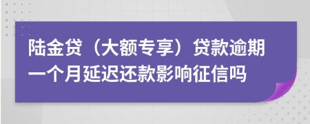 陆金贷（大额专享）贷款逾期一个月延迟还款影响征信吗