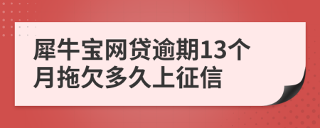 犀牛宝网贷逾期13个月拖欠多久上征信
