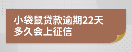 小袋鼠贷款逾期22天多久会上征信