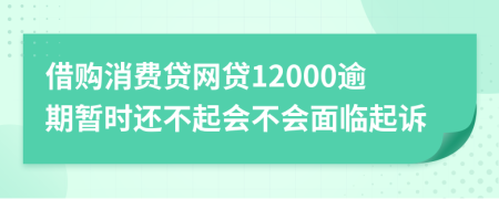 借购消费贷网贷12000逾期暂时还不起会不会面临起诉