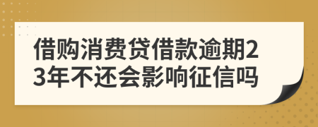 借购消费贷借款逾期23年不还会影响征信吗