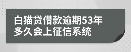 白猫贷借款逾期53年多久会上征信系统