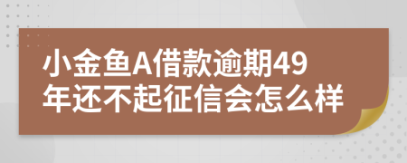 小金鱼A借款逾期49年还不起征信会怎么样