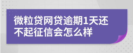 微粒贷网贷逾期1天还不起征信会怎么样