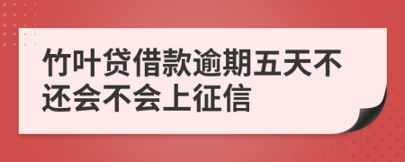 竹叶贷借款逾期五天不还会不会上征信