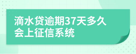 滴水贷逾期37天多久会上征信系统