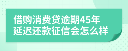 借购消费贷逾期45年延迟还款征信会怎么样