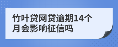 竹叶贷网贷逾期14个月会影响征信吗