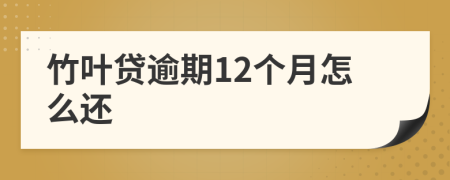 竹叶贷逾期12个月怎么还