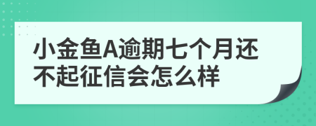 小金鱼A逾期七个月还不起征信会怎么样