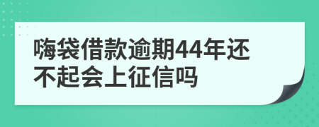 嗨袋借款逾期44年还不起会上征信吗