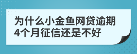为什么小金鱼网贷逾期4个月征信还是不好