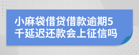 小麻袋借贷借款逾期5千延迟还款会上征信吗