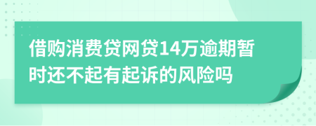 借购消费贷网贷14万逾期暂时还不起有起诉的风险吗