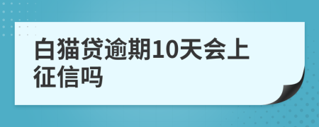 白猫贷逾期10天会上征信吗