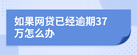 如果网贷已经逾期37万怎么办