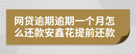 网贷逾期逾期一个月怎么还款安鑫花提前还款