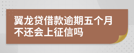 翼龙贷借款逾期五个月不还会上征信吗