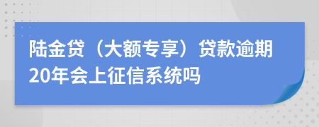 陆金贷（大额专享）贷款逾期20年会上征信系统吗