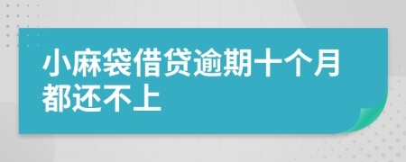 小麻袋借贷逾期十个月都还不上