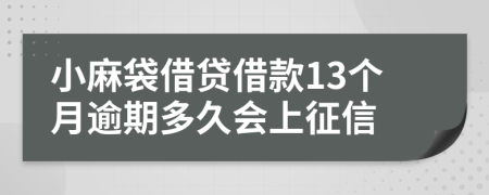 小麻袋借贷借款13个月逾期多久会上征信