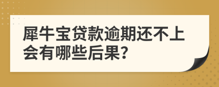 犀牛宝贷款逾期还不上会有哪些后果？