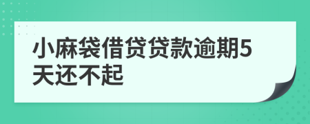 小麻袋借贷贷款逾期5天还不起