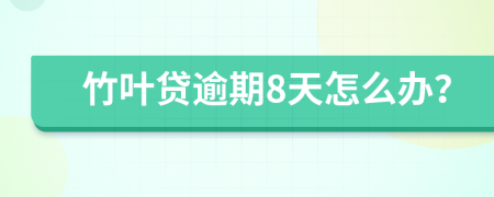 竹叶贷逾期8天怎么办？