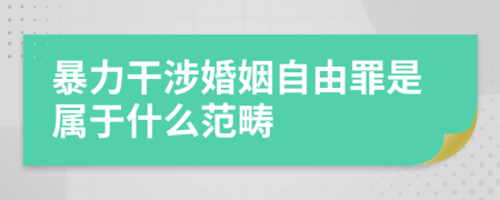 暴力干涉婚姻自由罪是属于什么范畴