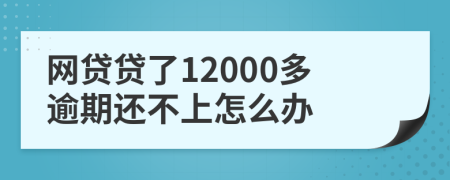 网贷贷了12000多逾期还不上怎么办