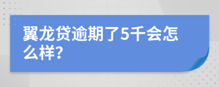 翼龙贷逾期了5千会怎么样？