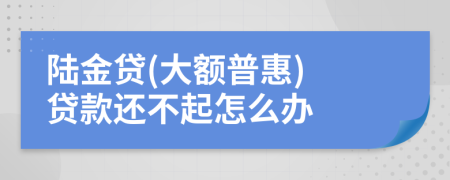 陆金贷(大额普惠) 贷款还不起怎么办