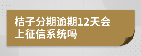 桔子分期逾期12天会上征信系统吗