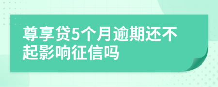 尊享贷5个月逾期还不起影响征信吗