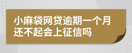 小麻袋网贷逾期一个月还不起会上征信吗