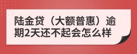 陆金贷（大额普惠）逾期2天还不起会怎么样