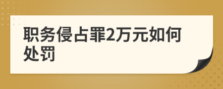 职务侵占罪2万元如何处罚