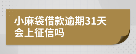 小麻袋借款逾期31天会上征信吗