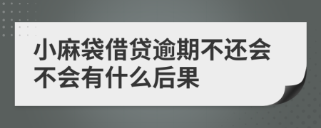 小麻袋借贷逾期不还会不会有什么后果