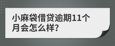 小麻袋借贷逾期11个月会怎么样？