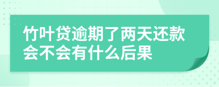 竹叶贷逾期了两天还款会不会有什么后果