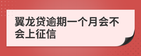 翼龙贷逾期一个月会不会上征信