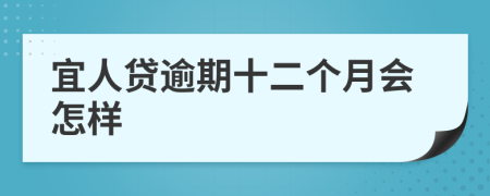 宜人贷逾期十二个月会怎样