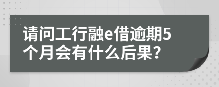 请问工行融e借逾期5个月会有什么后果？